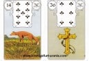 Lenormand-Serie: hätten Sie es gewusst?